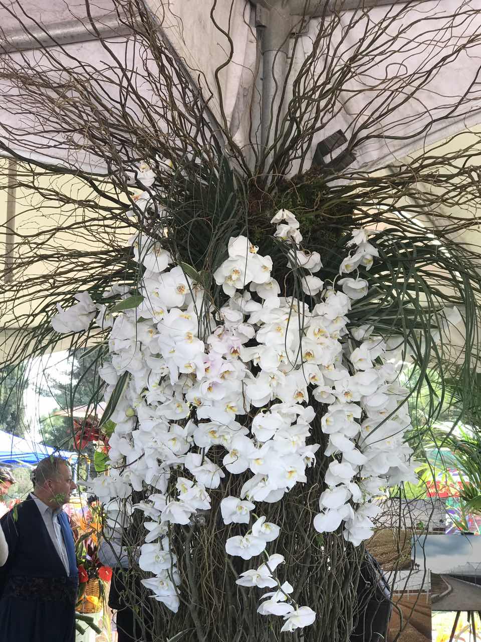 FOTO - Erbil'de çiçek fuarı